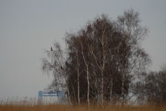 Killikus® Fotographie